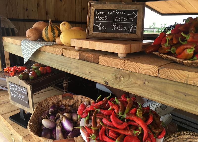 Organic, locally grown squash, eggplant, and peppers sold weekly in Richmond, TX.