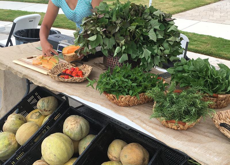 Seasonal fruit offered as samples at stand during Harvest Green's Farmers Market.