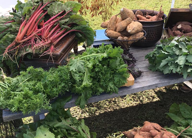 Harvest Green's Farmers Market offers a rainbow of seasonal produce and events.