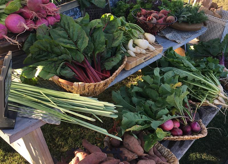 A vibrant seasonal vegetable stand sells in a Richmond, TX Farmers Market.