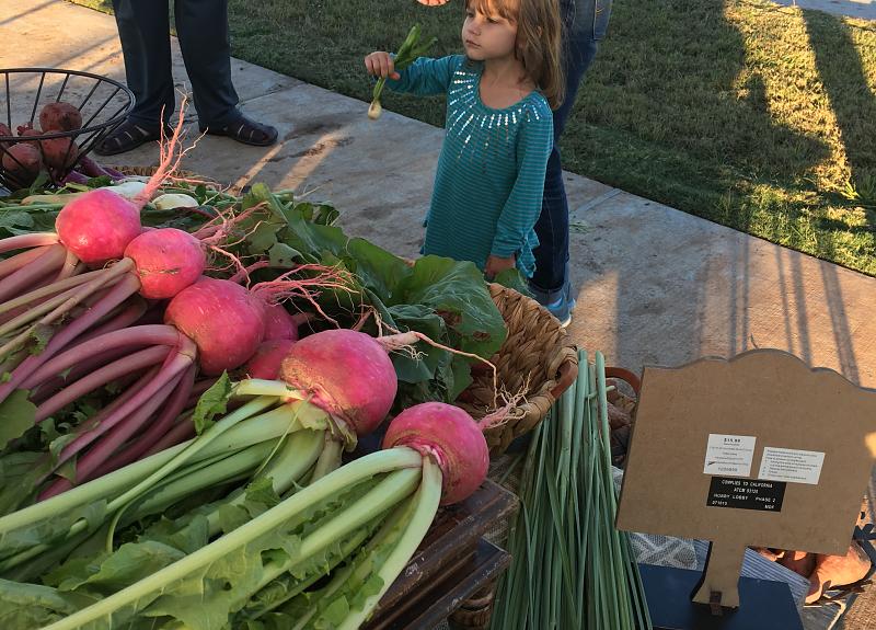 A little girl inquires about produce grown and sold in Harvest Green.