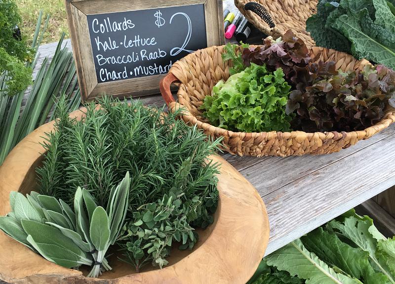 Collards, kale, herbs, lettuce, and more grown and sold in Harvest Green.