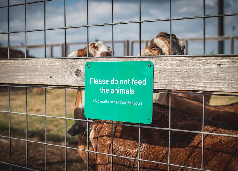 A sign Harvest Green goat pen says - Do not feed animals.