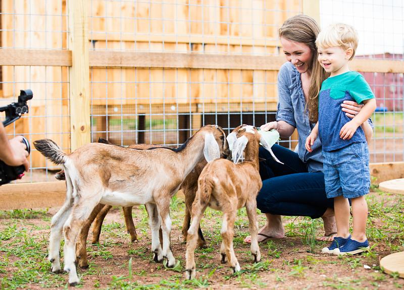 The baby goats at Harvest Green in Richmond, TX greet their neighbors.
