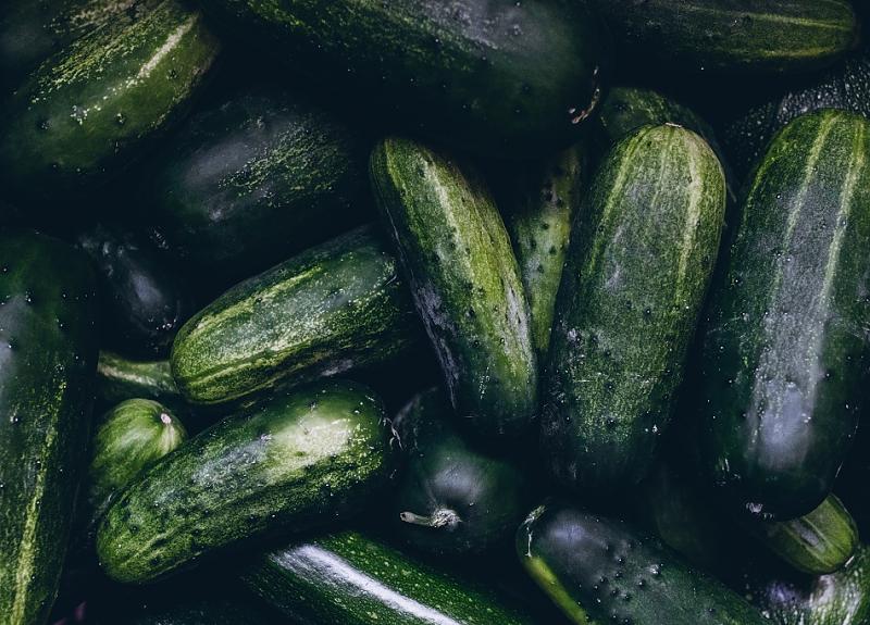 A bounty of fresh cucumbers are harvested from Harvest Green's Village Farm.