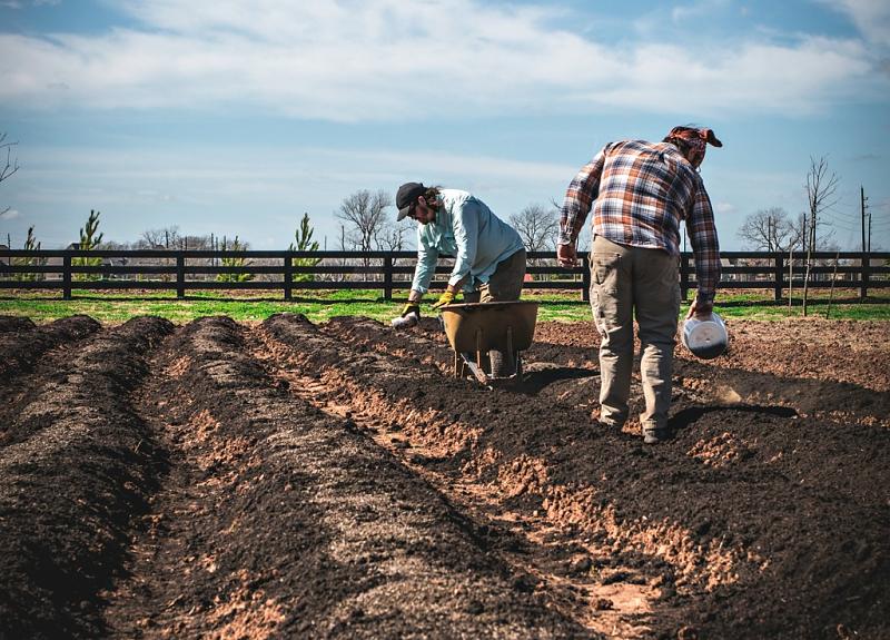 Two farmers with a wheelbarrow shovel soil in Fort Bend community farm.
