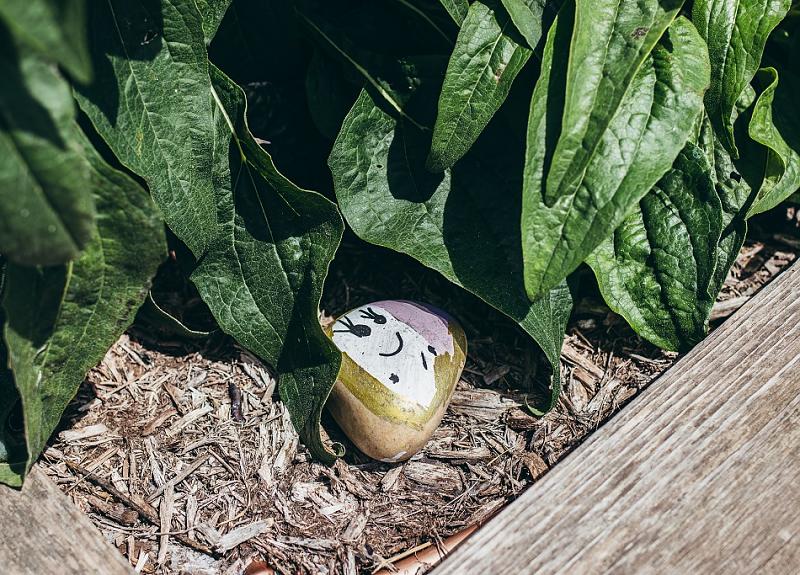 A rock with a smiley face hides in Harvest Green's Village Farm.