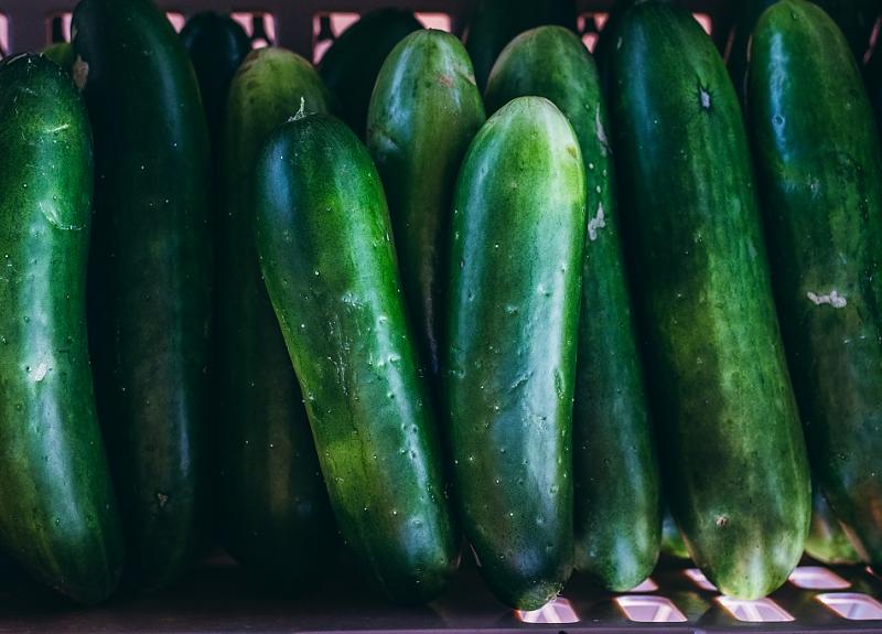 A batch of fresh zucchini harvested in Richmond, TX from Harvest Green.