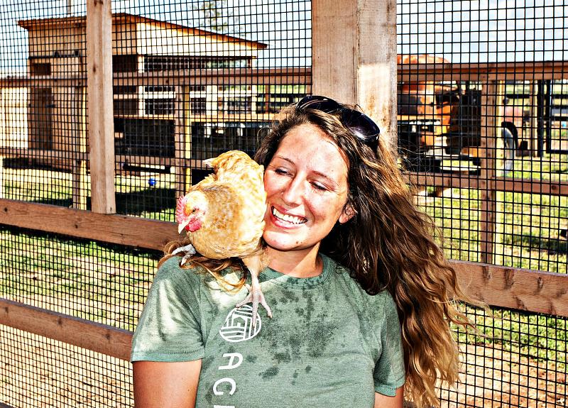 One of Harvest Green's resident egg-laying chickens sits on a woman's shoulders.