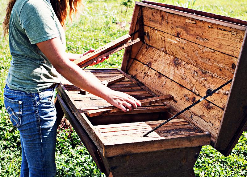 The wooden beehive located in a Harvest Green's orchard is tended to.