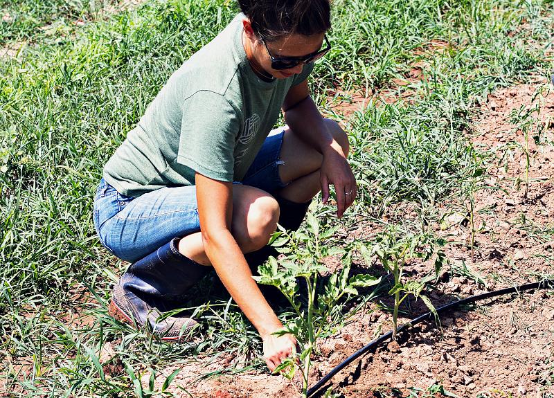 A woman tending The Village Farm in Richmond, TX checks the soil. 