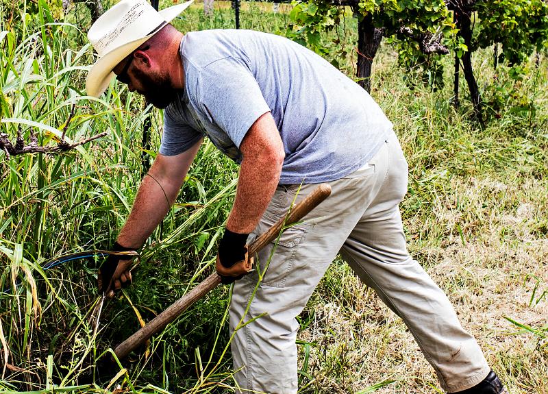A man is carefully tending to a Fort Bend community's Village Farm.