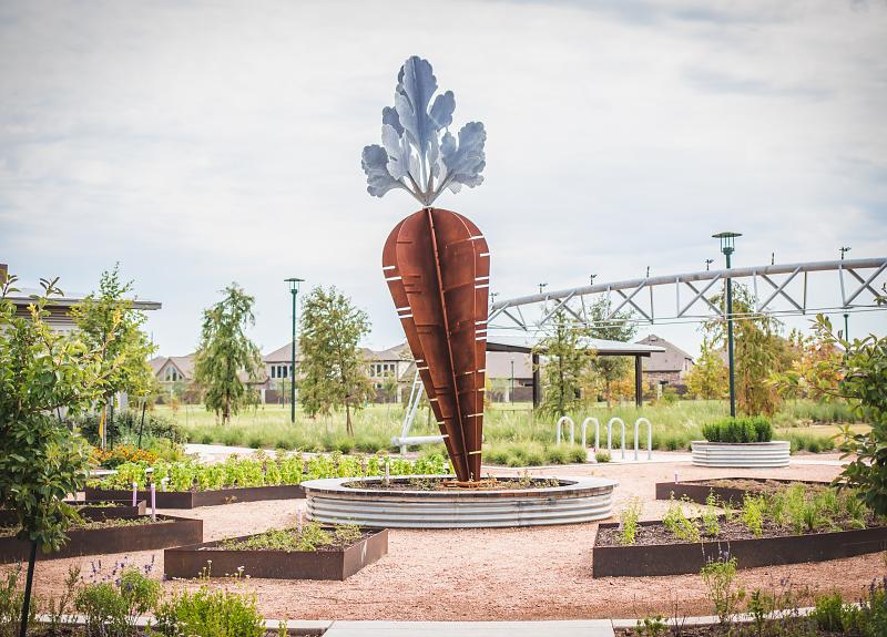 Texas’ largest carrot is located in a new park in Harvest Green.