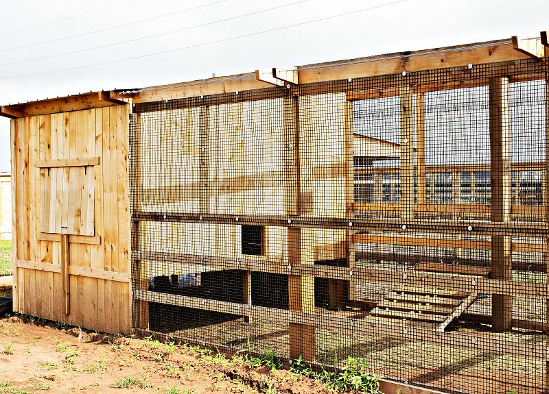 The community goat pen is part of Harvest Green agrihood living experience.