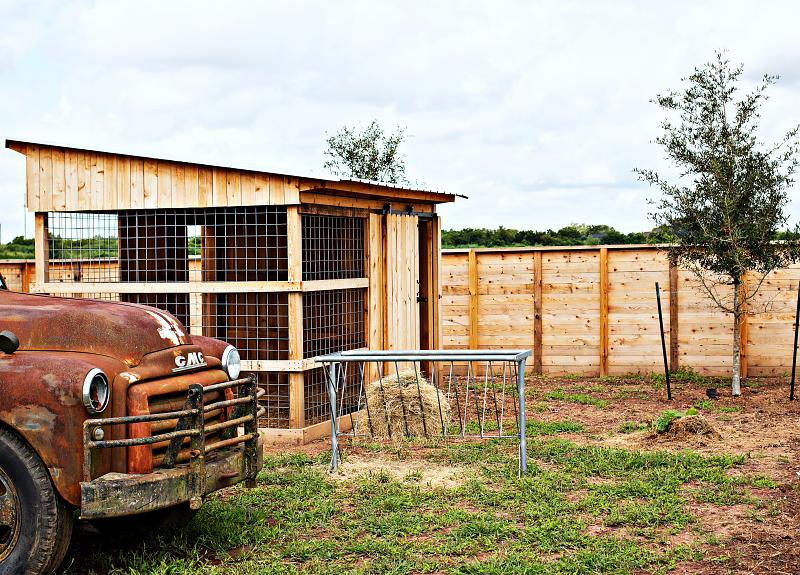 Goat pen in Harvest Green offers hay for resident goats to graze