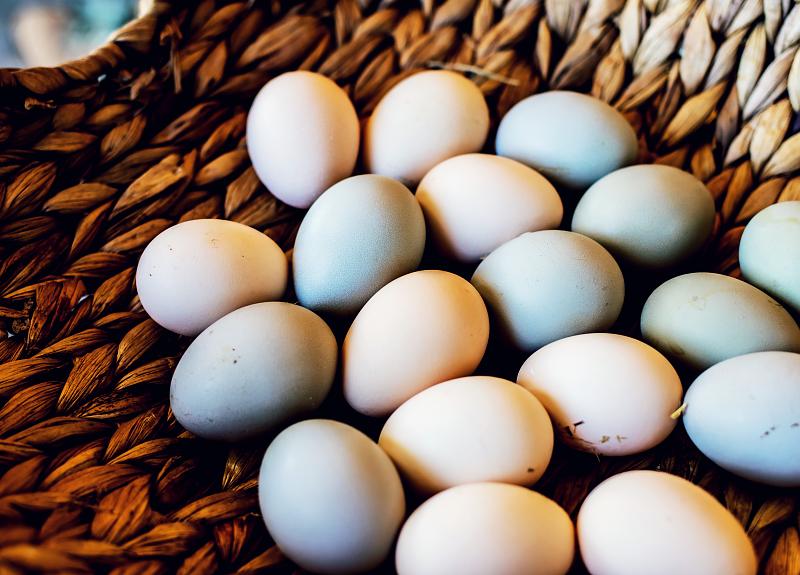 Eggs of various colors in a basket collected from Harvest Green's chickens.