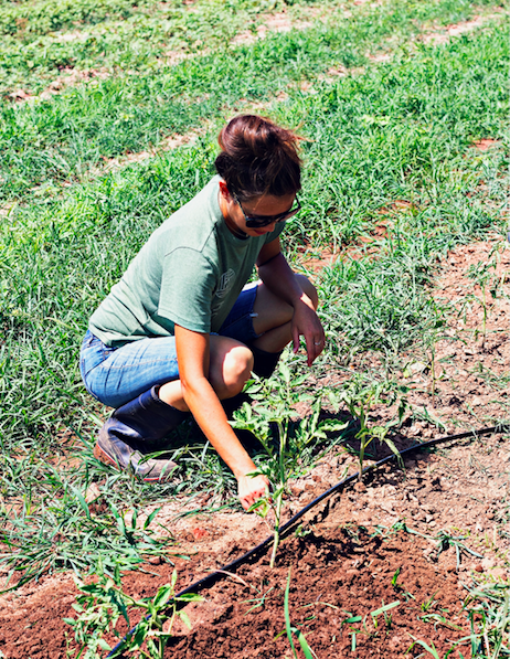 What is an Agrihood?