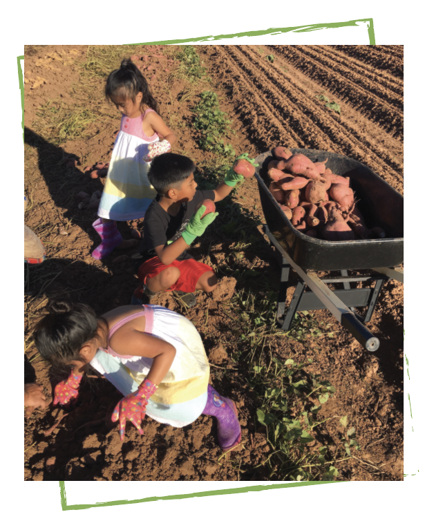 Village Farm Harvests Help for Local Charity