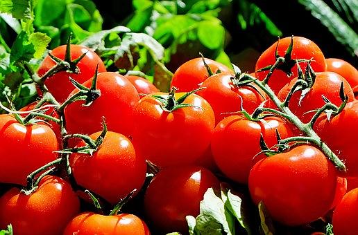 You Say 'Tomato' and We Say Tomato Fest, June 17