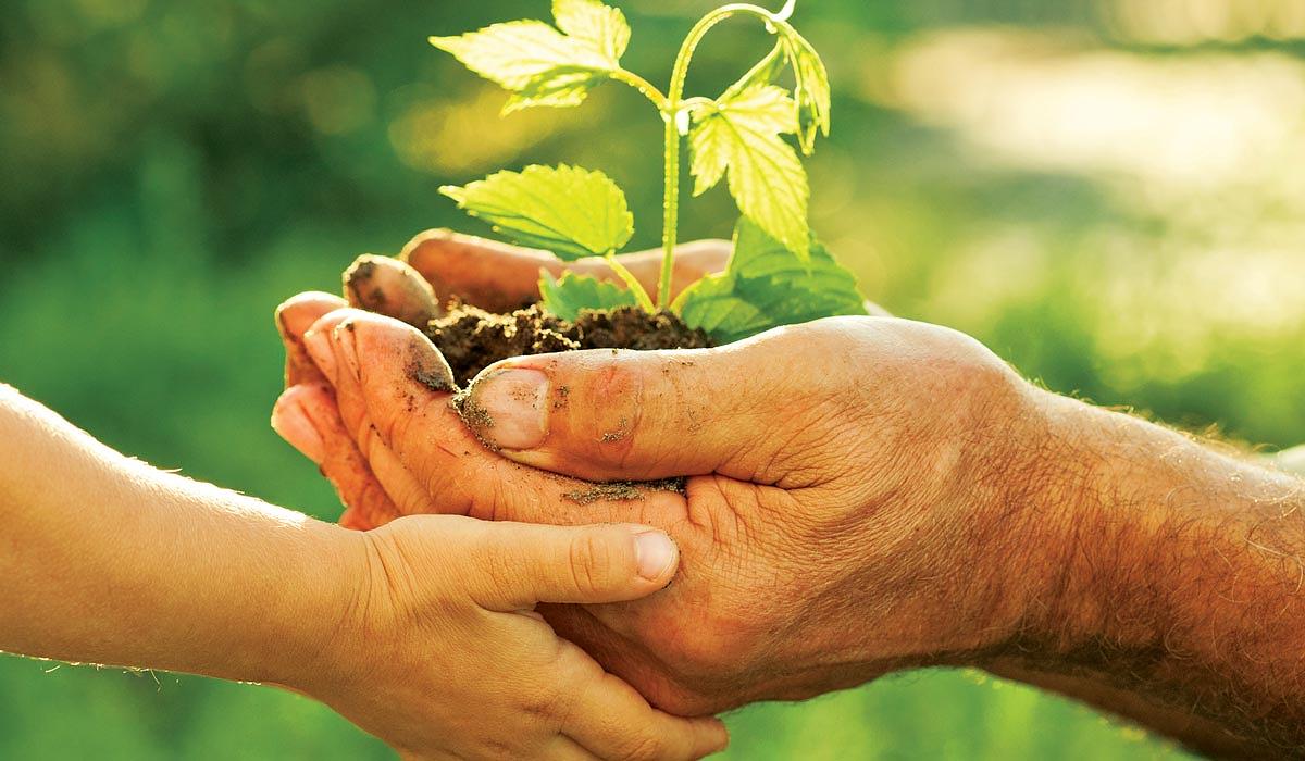 Homes selling quickly in Houston's first agrihood