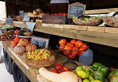 Harvest Green is On the Menu
