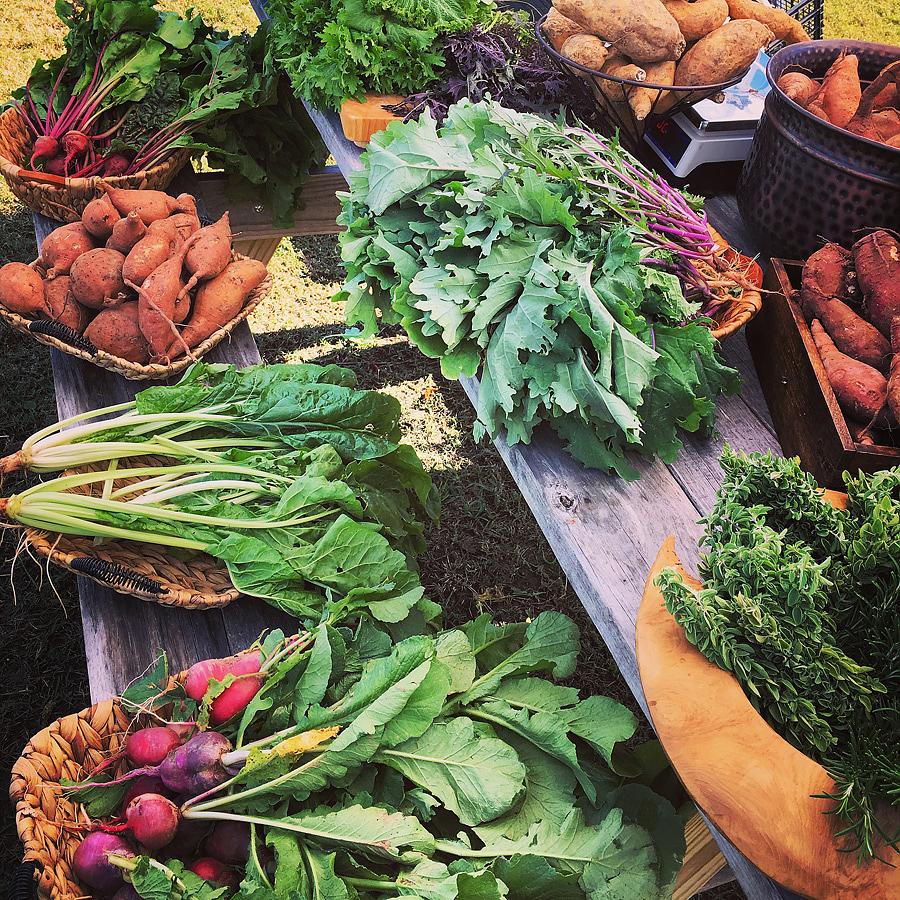 Improvements Coming to Harvest Green Farmers Market