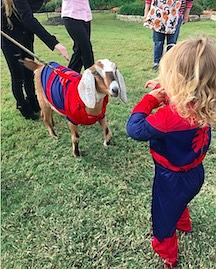 Our Trail Leads to Treats Oct. 27