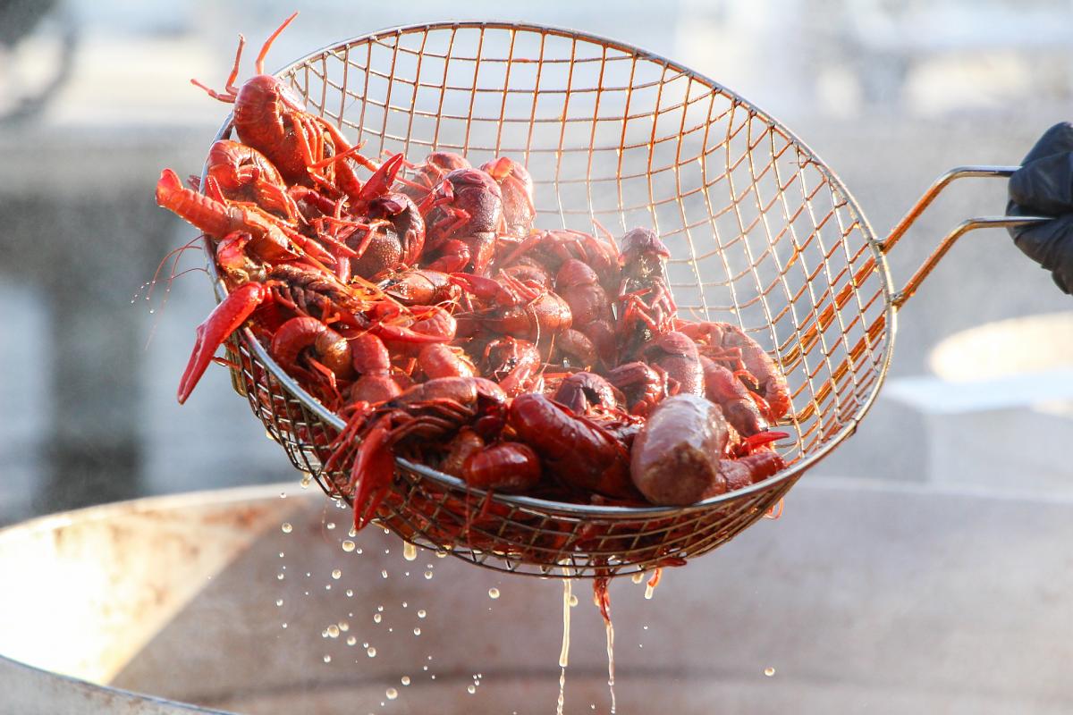 Fun Facts About Crawfish You Might Not Know