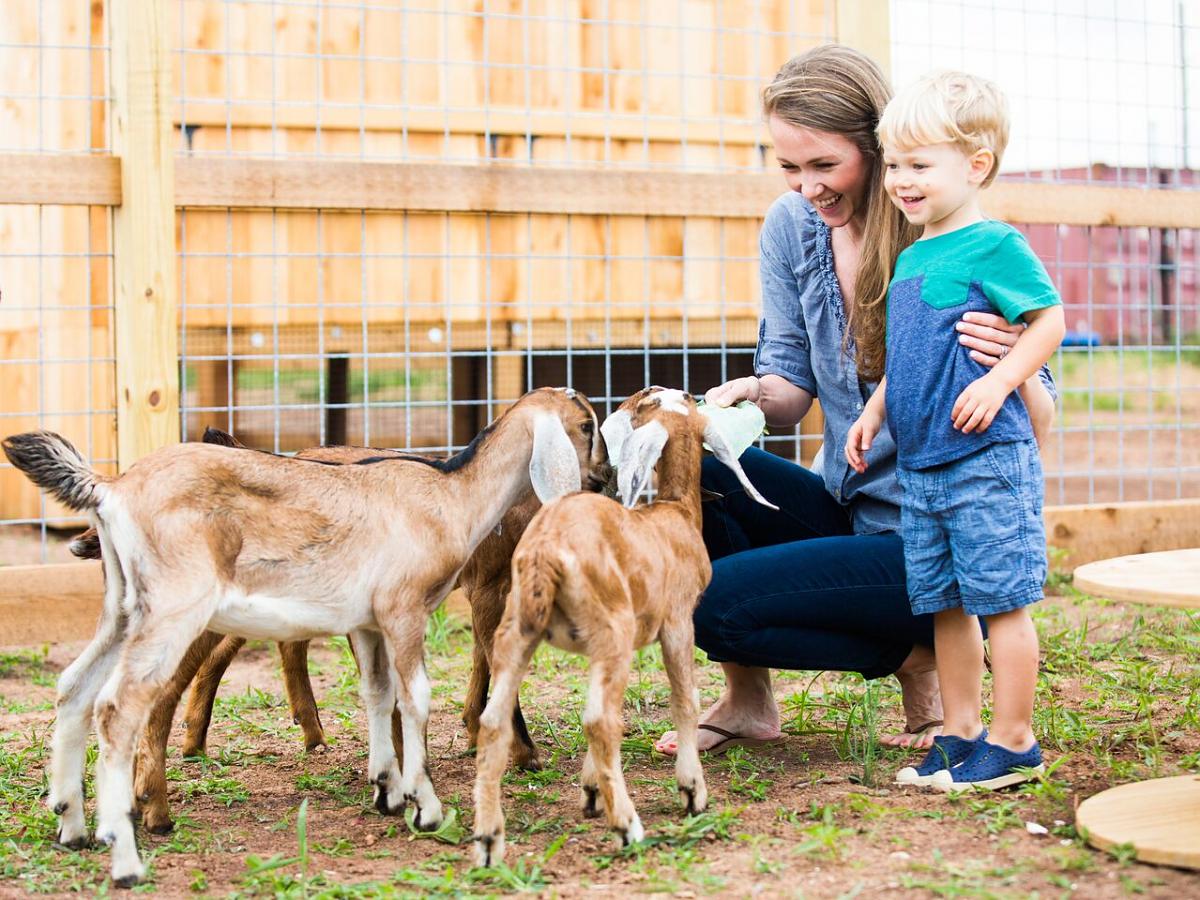 You Decide Our Kids' Names