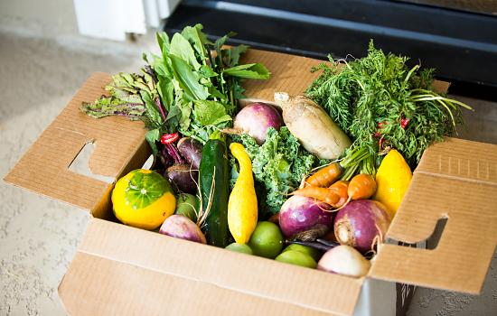 Resident Vegetable Share Program Delivers