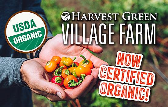 Why Yes, We’re Certified Organic!