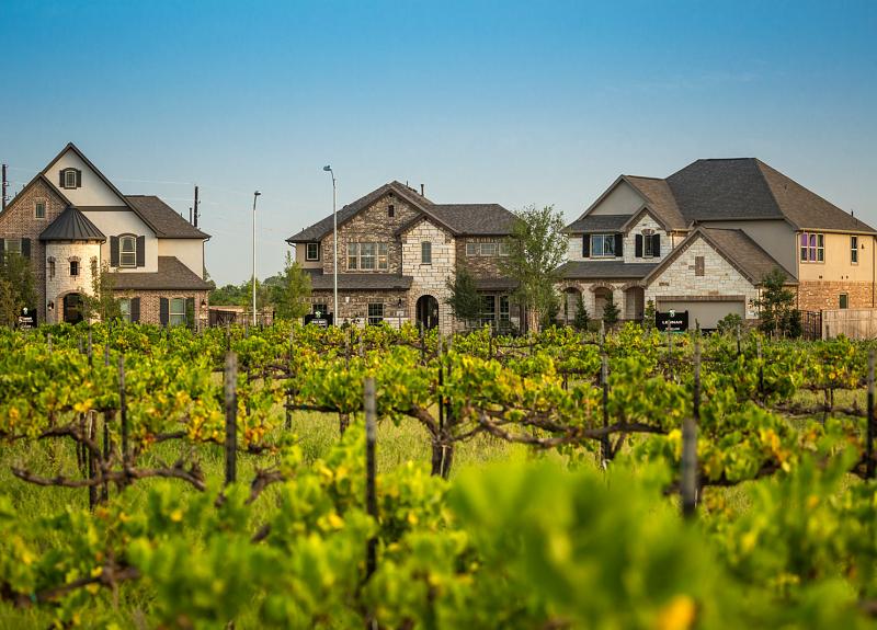 South Village Vineyard in Harvest Green is showcases the community's agrihood living.