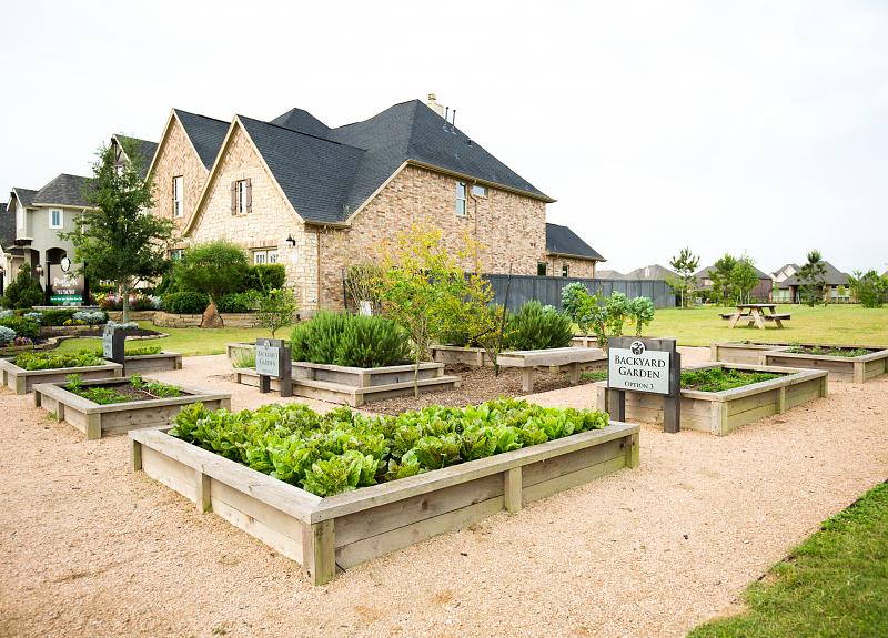 Suburban home with backyard garden options in Harvest Green in Fort Bend.