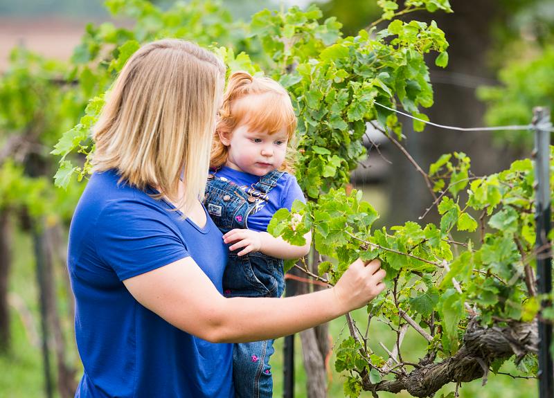 A woman and her child examining grapes in Harvest Green's onsite vineyard.