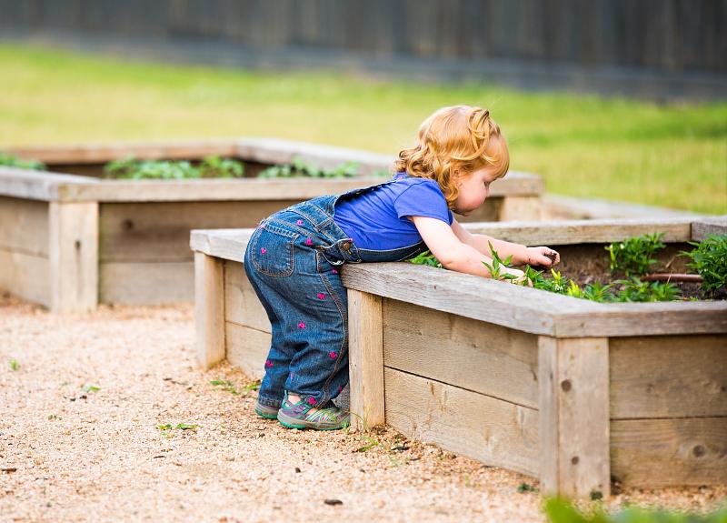 Young child examines a tall wooden planter in a Fort Bend community.