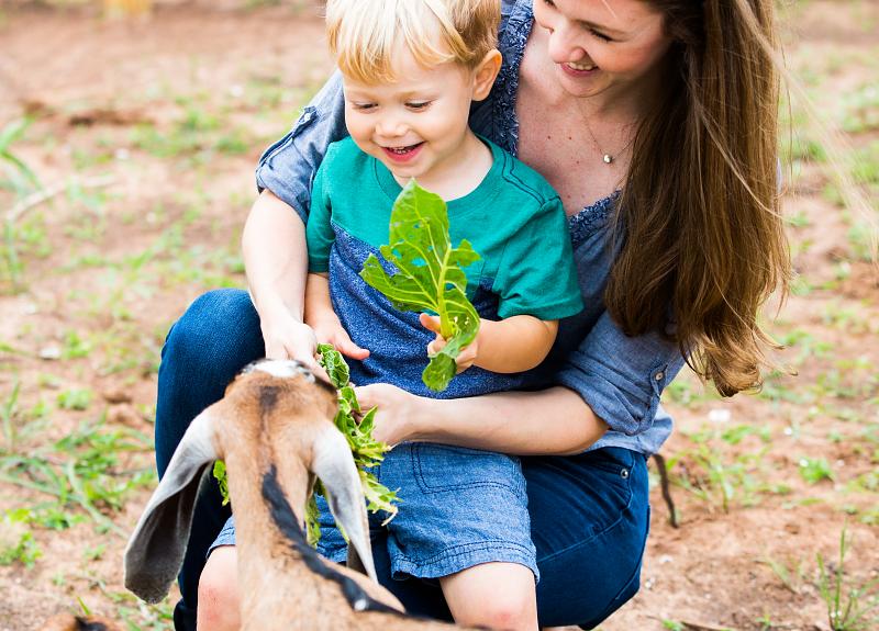 A child and mother playfully feed one of Harvest Green's resident goats.