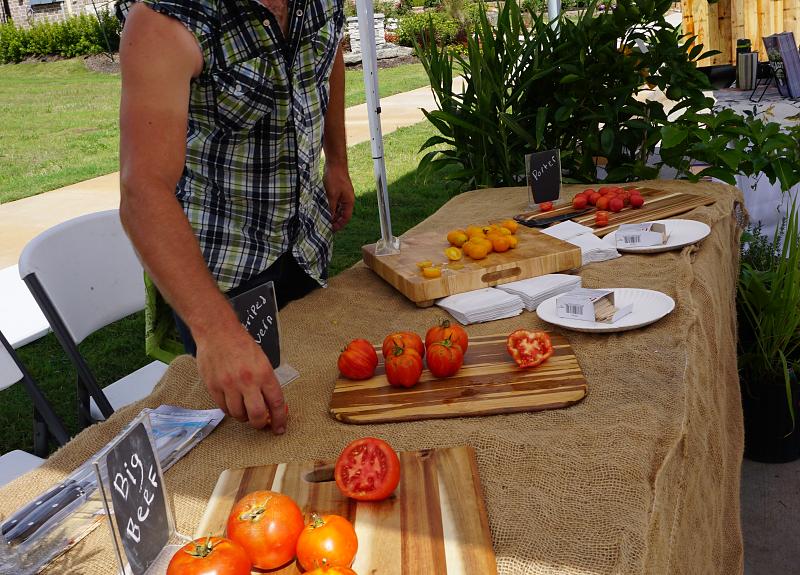 'La Tomatina' Tomato Festival - Photo 2