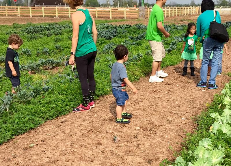 Families explore The Village Farm during a seasonal Harvest Green resident event.
