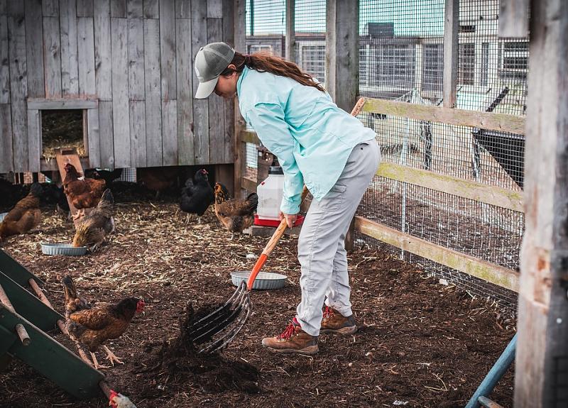 An expert farmer cleans and cares for Harvest Green's community chicken coup.