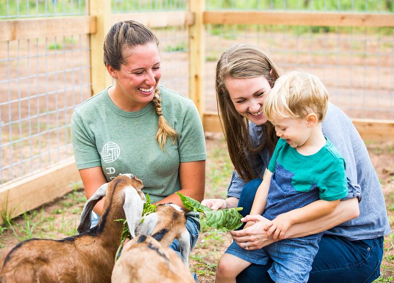 Baby goats are cared for by residents and farmers in Harvest Green.