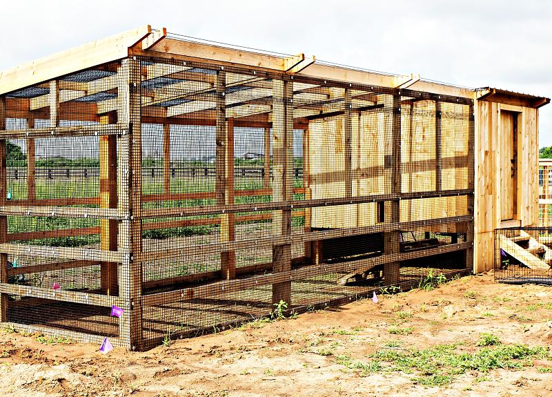 The chicken coup at Harvest Green in Fort Bend houses various breeds.