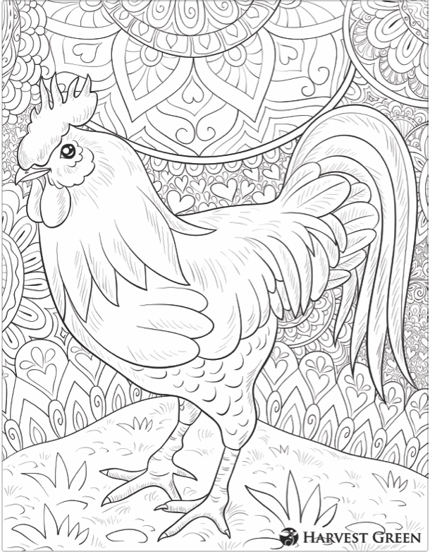 Harvest Green Coloring Rooster