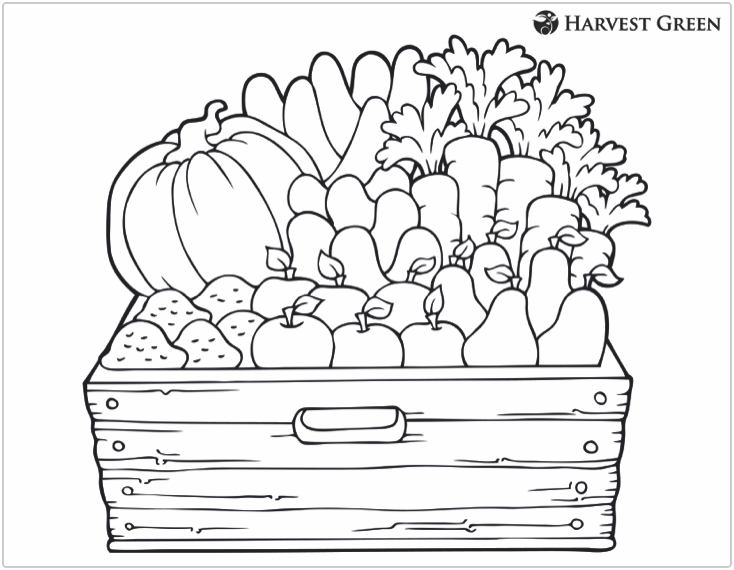 Harvest Green Coloring Kids Produce