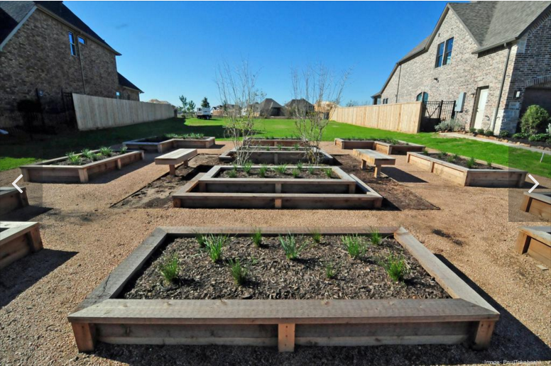 Backyard Gardens in Harvest Green